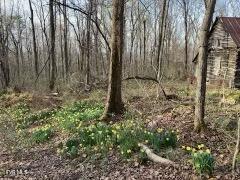 3684 Collier Loop, Dandridge, Tennessee image 5