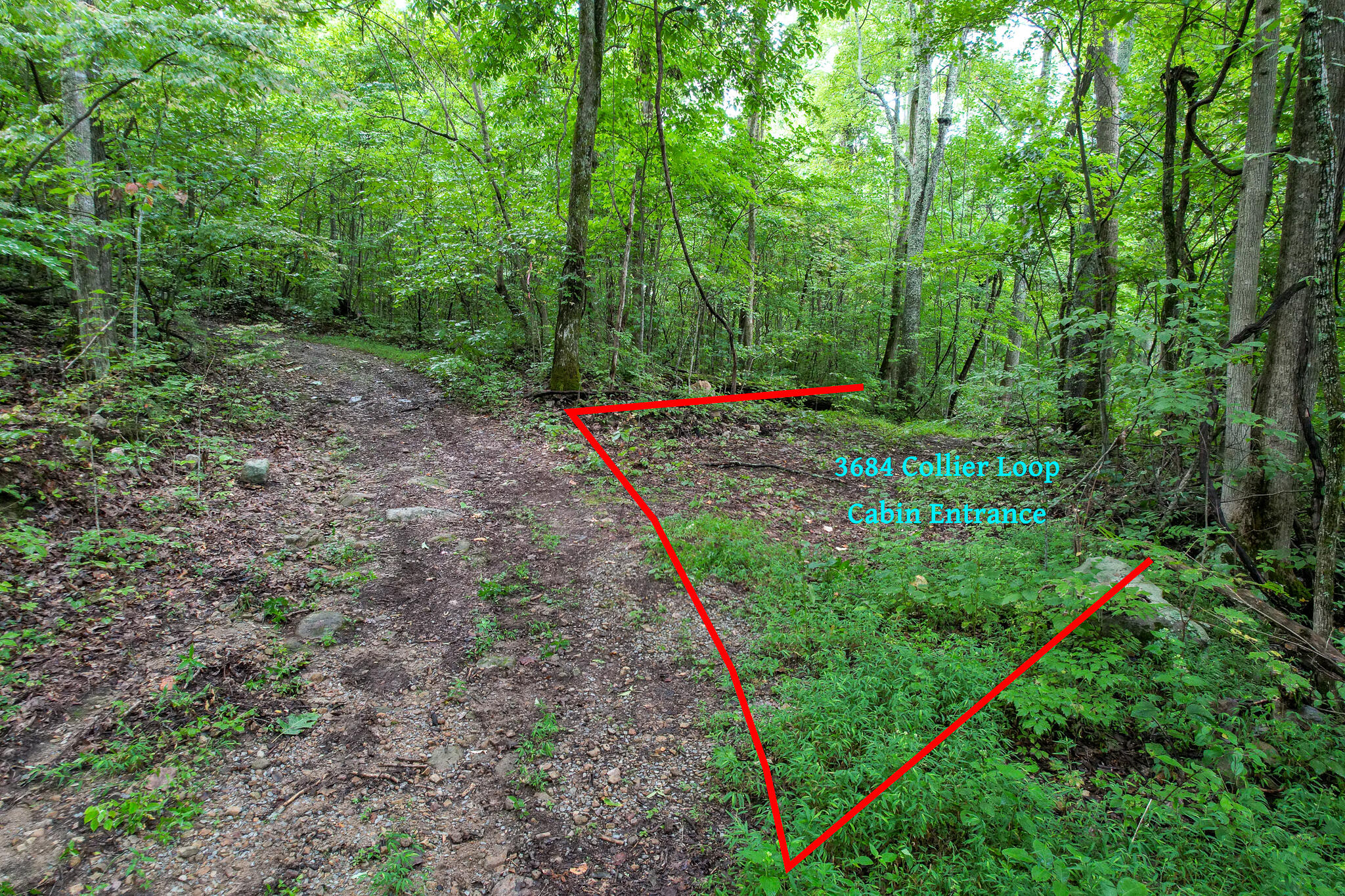 3684 Collier Loop, Dandridge, Tennessee image 24