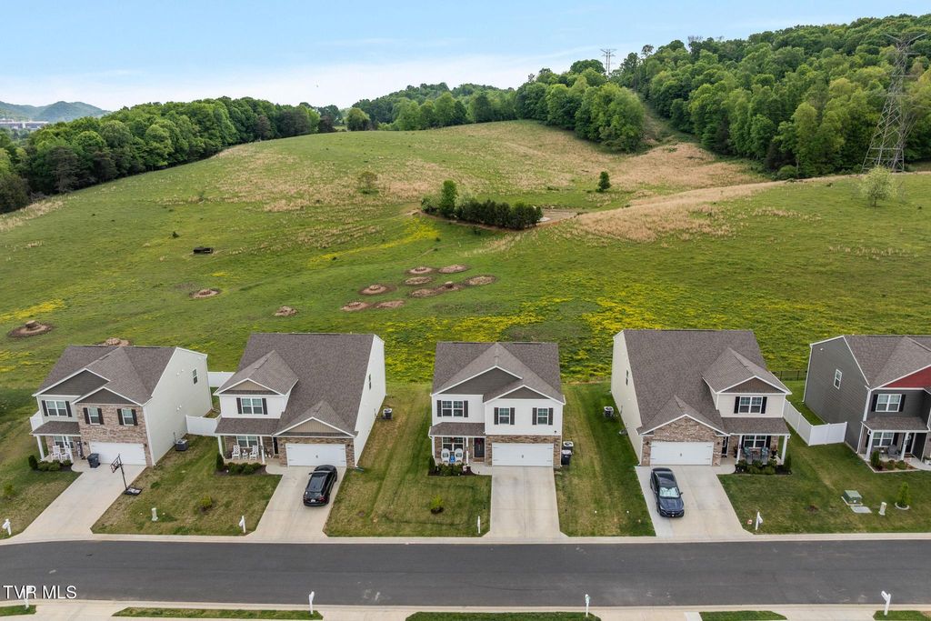Photo of 106 Thistle Drive, Bluff City, TN 37618 (MLS # 9995045)