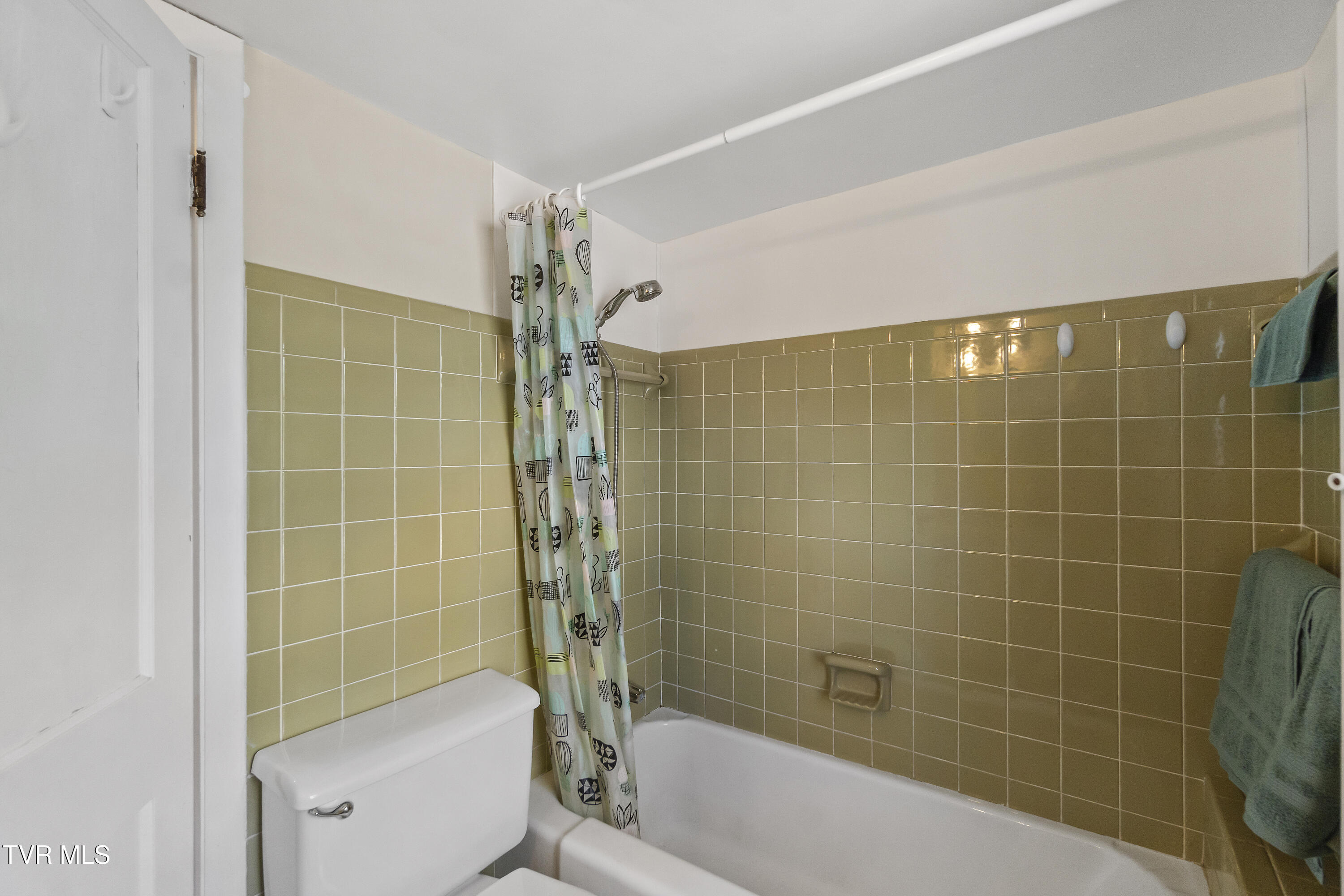 108 Rogers Street, Rogersville, Tennessee image 43