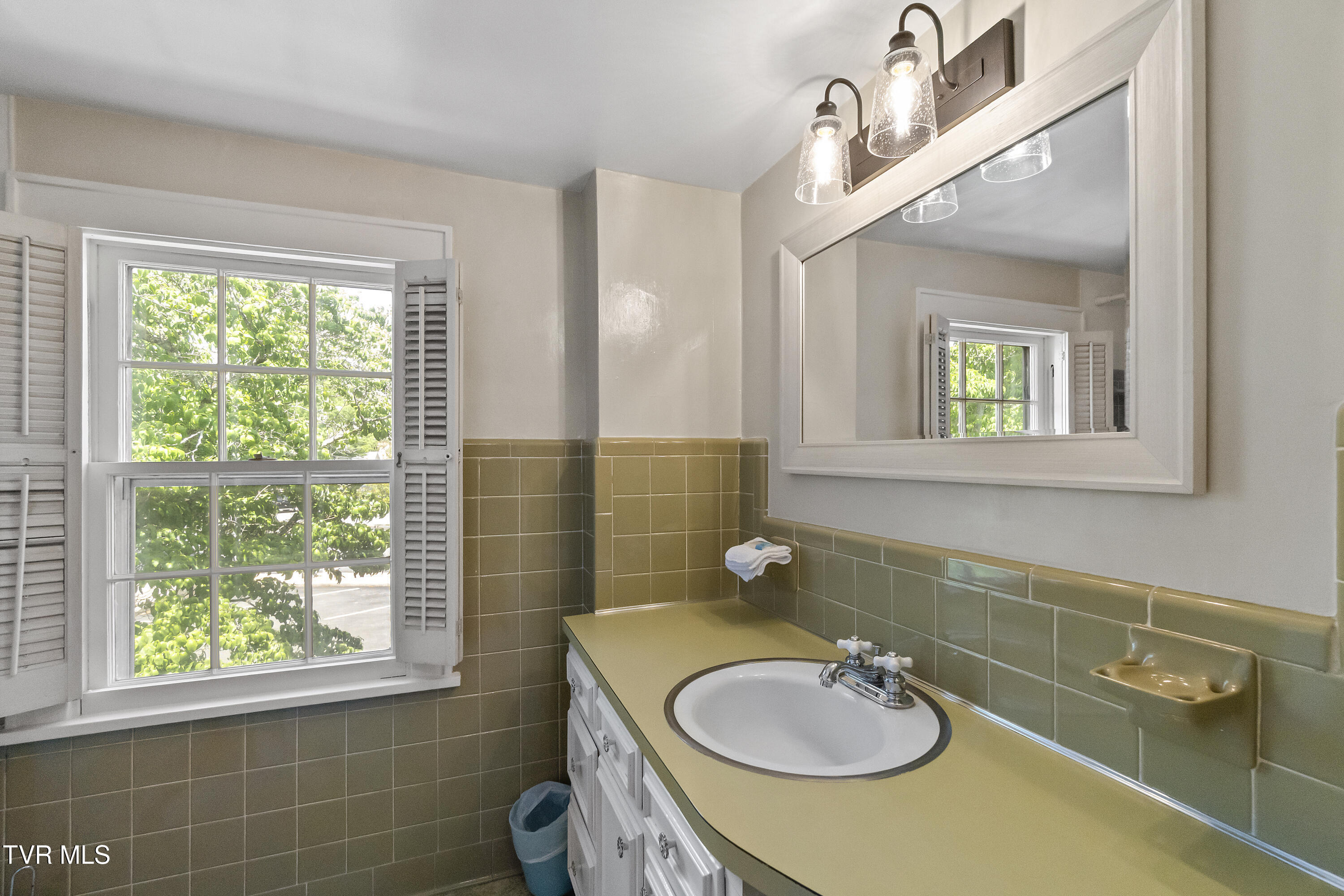 108 Rogers Street, Rogersville, Tennessee image 42