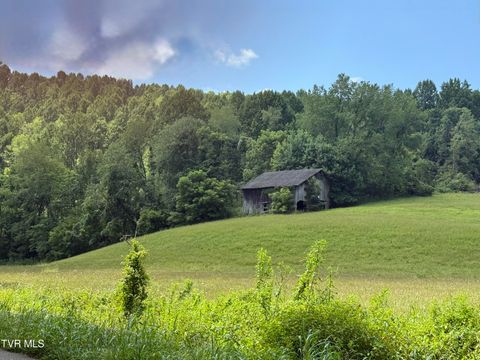 Vacant Land For Sale - 000 Long Hollow Road<br/> Nickelsville, VA 24271