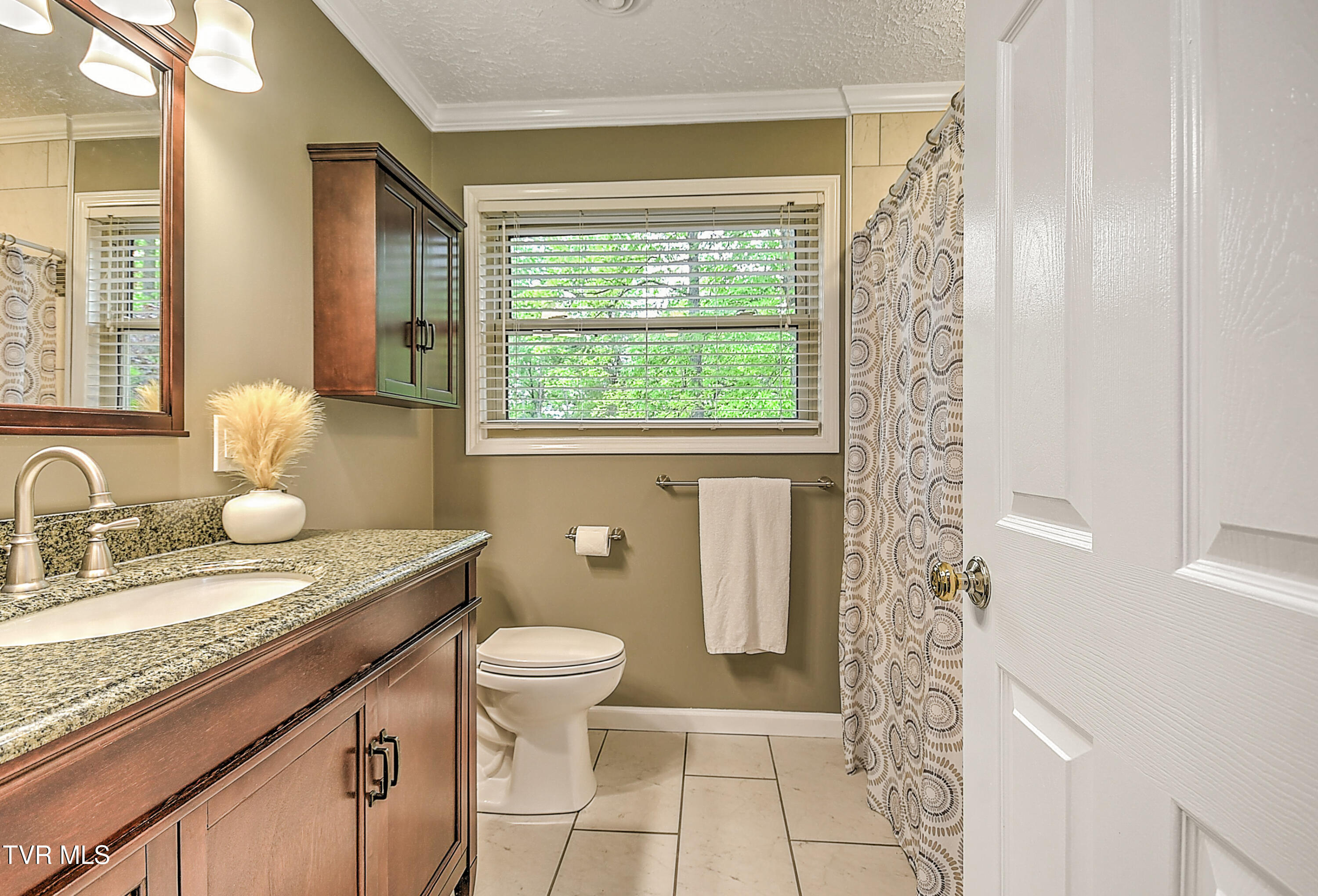 124 Skyline Drive, Bristol, Tennessee image 40