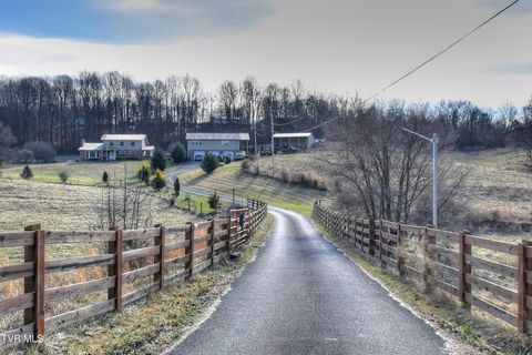 Photo of 143 Fordtown Road, Fall Branch, TN 37656 (MLS # 9990443)