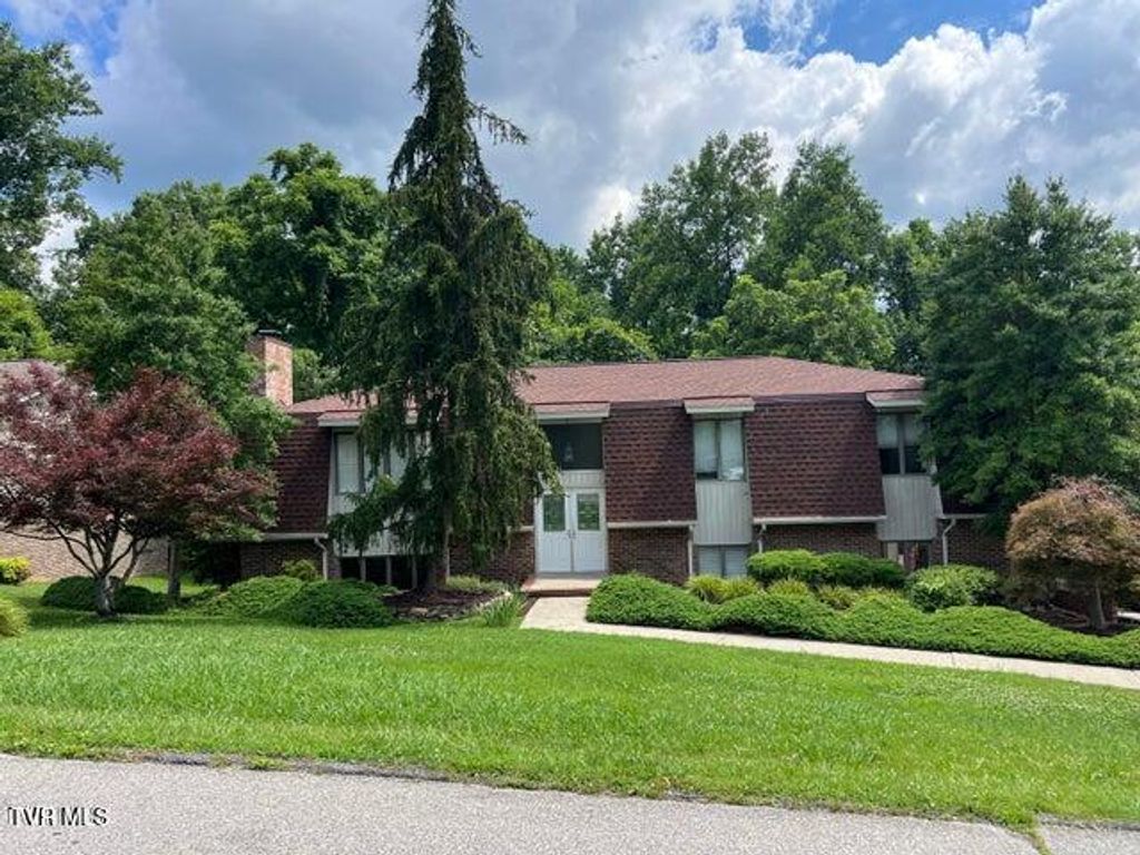 Photo of 1232 Caribbean Drive, Kingsport, TN 37660 (MLS # 9987177)