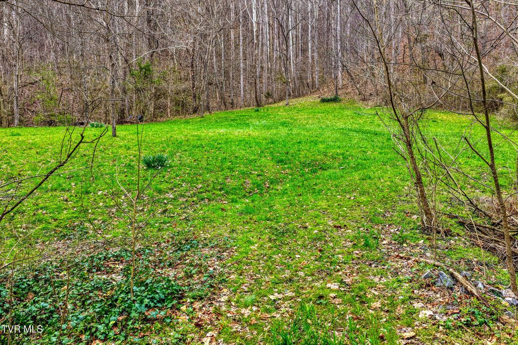 Photo of 1795 Bear Hollow Road, Greeneville, TN 37745 (MLS # 9992863)