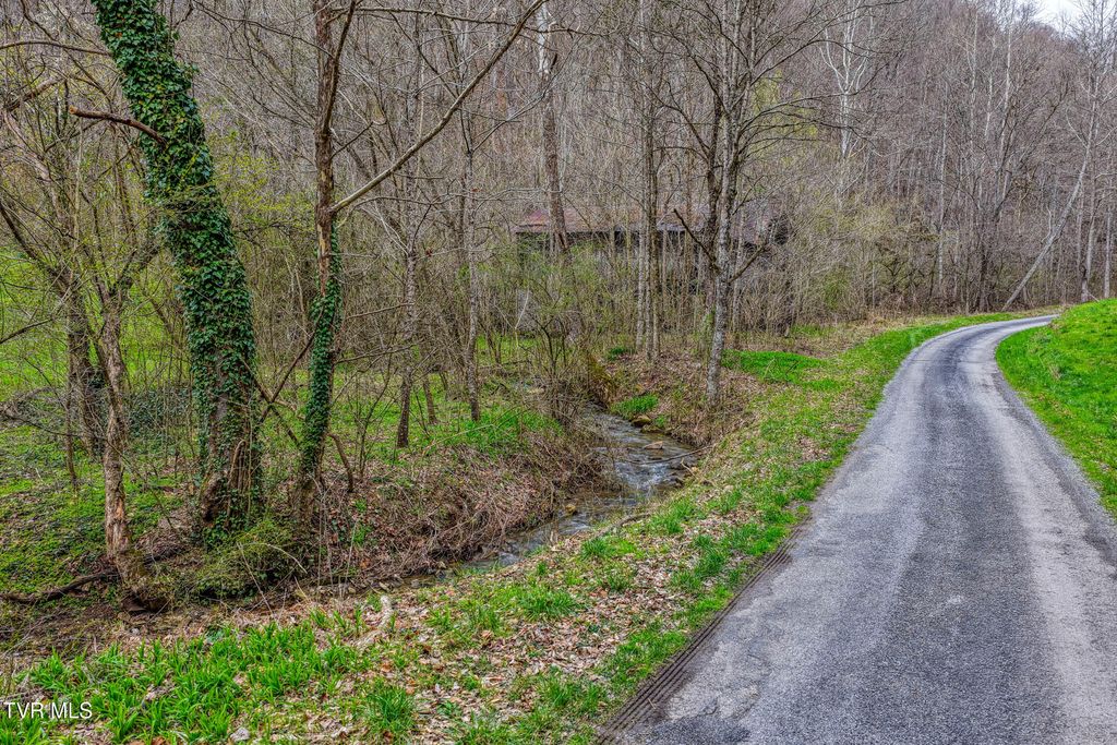 Photo of 1795 Bear Hollow Road, Greeneville, TN 37745 (MLS # 9992863)