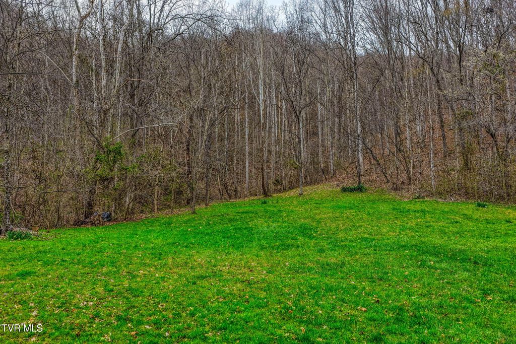Photo of 1795 Bear Hollow Road, Greeneville, TN 37745 (MLS # 9992863)