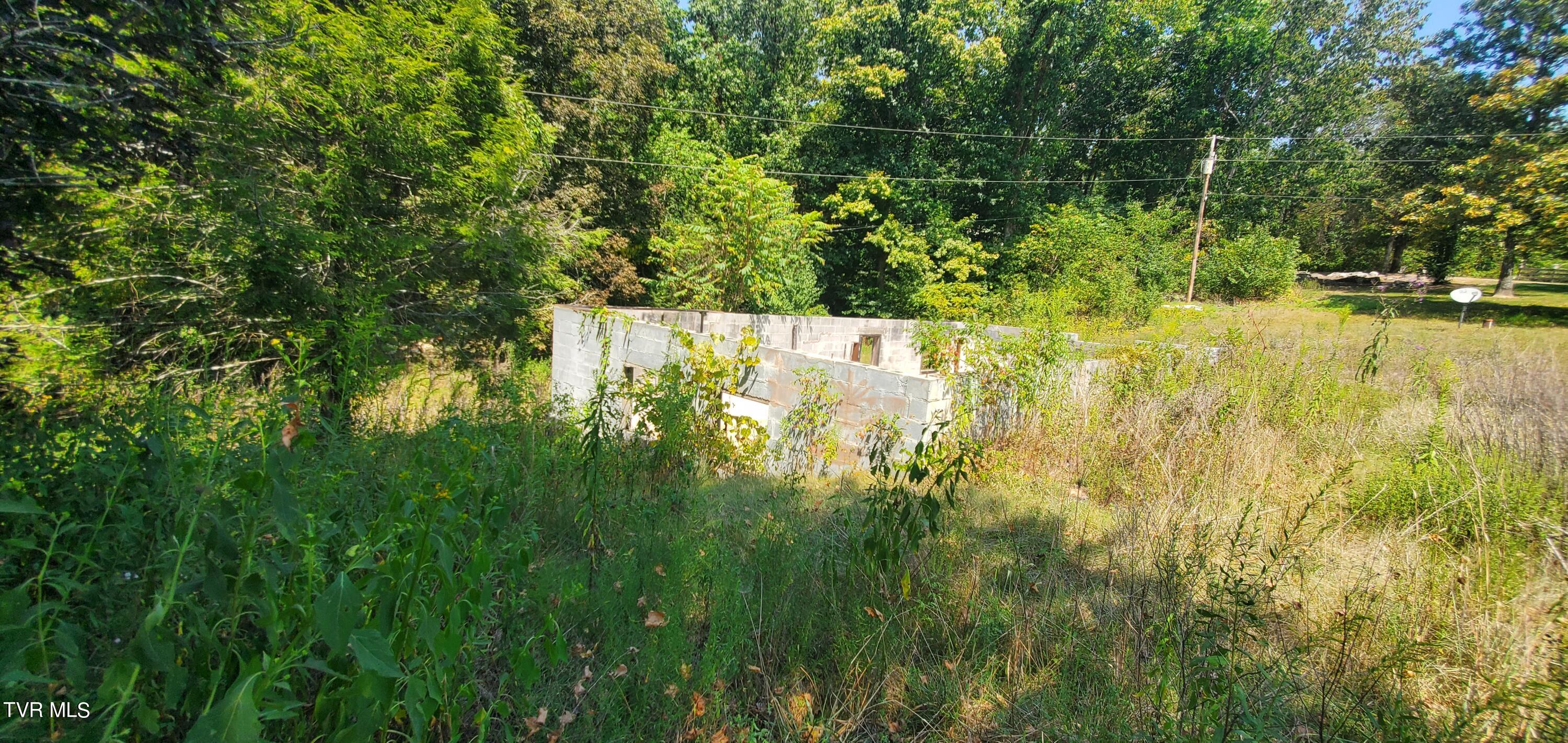 205 Knight Hollow Lane, Mosheim, Tennessee image 2