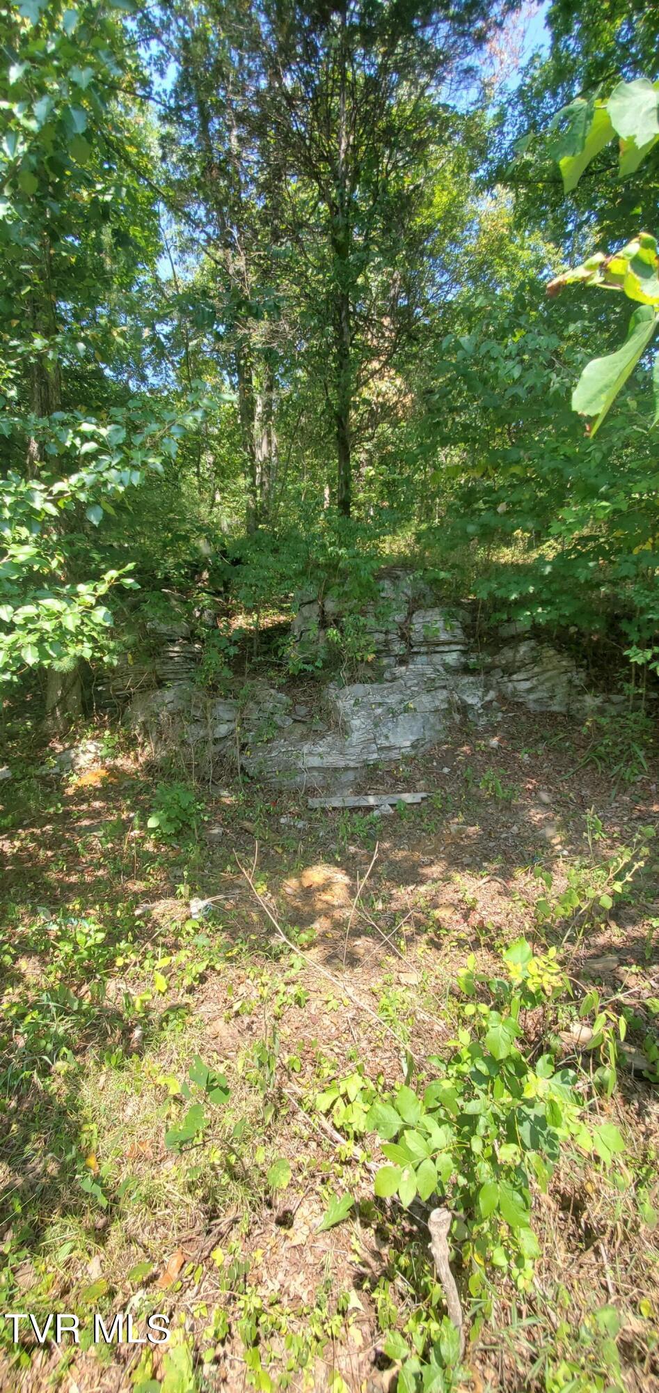 205 Knight Hollow Lane, Mosheim, Tennessee image 10