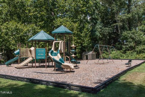 Tiny photo for 42 Wellington St #42, Bristol, TN 37620 (MLS # 9986284)