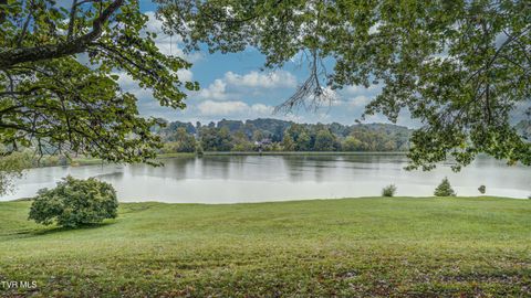 Tiny photo for 42 Wellington St #42, Bristol, TN 37620 (MLS # 9986284)
