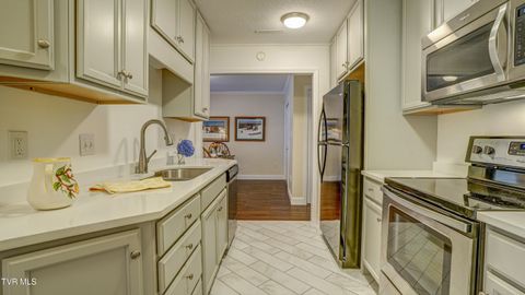 Tiny photo for 42 Wellington St #42, Bristol, TN 37620 (MLS # 9986284)