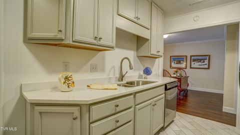 Tiny photo for 42 Wellington St #42, Bristol, TN 37620 (MLS # 9986284)