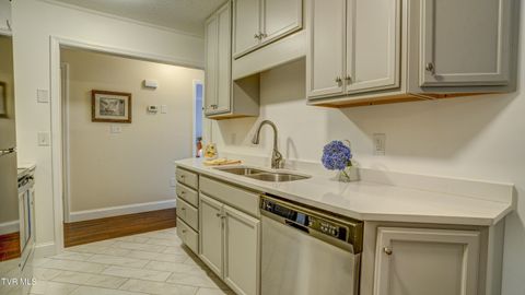 Tiny photo for 42 Wellington St #42, Bristol, TN 37620 (MLS # 9986284)
