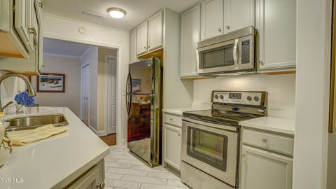 Tiny photo for 42 Wellington St #42, Bristol, TN 37620 (MLS # 9986284)