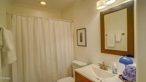 Tiny photo for 42 Wellington St #42, Bristol, TN 37620 (MLS # 9986284)