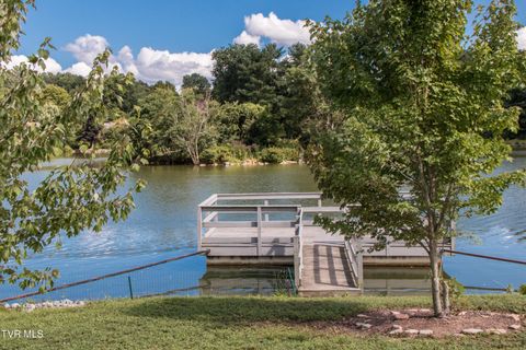 Tiny photo for 42 Wellington St #42, Bristol, TN 37620 (MLS # 9986284)