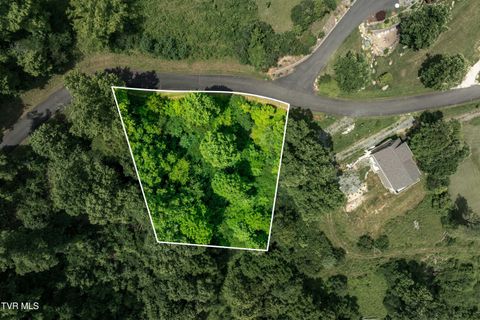 Vacant Land For Sale - LOT 10 Lake Ridge Road<br/> Johnson County, Butler, TN 37640