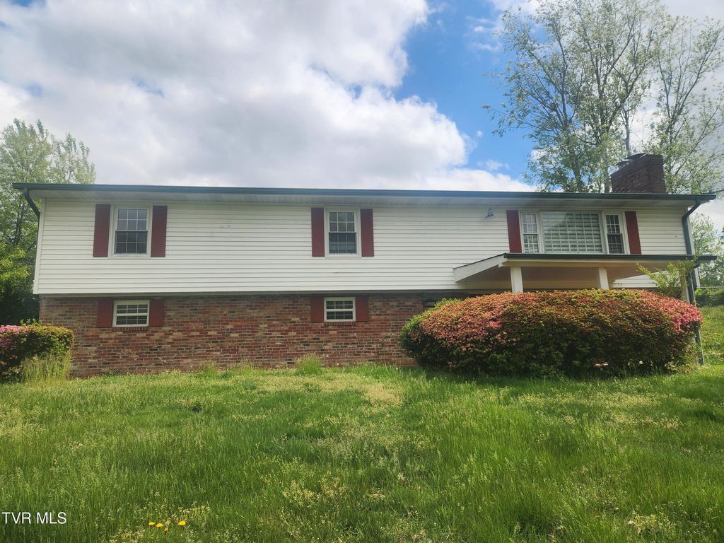 Photo of 321 Valley Drive, Bristol, VA 24201 (MLS # 9994603)