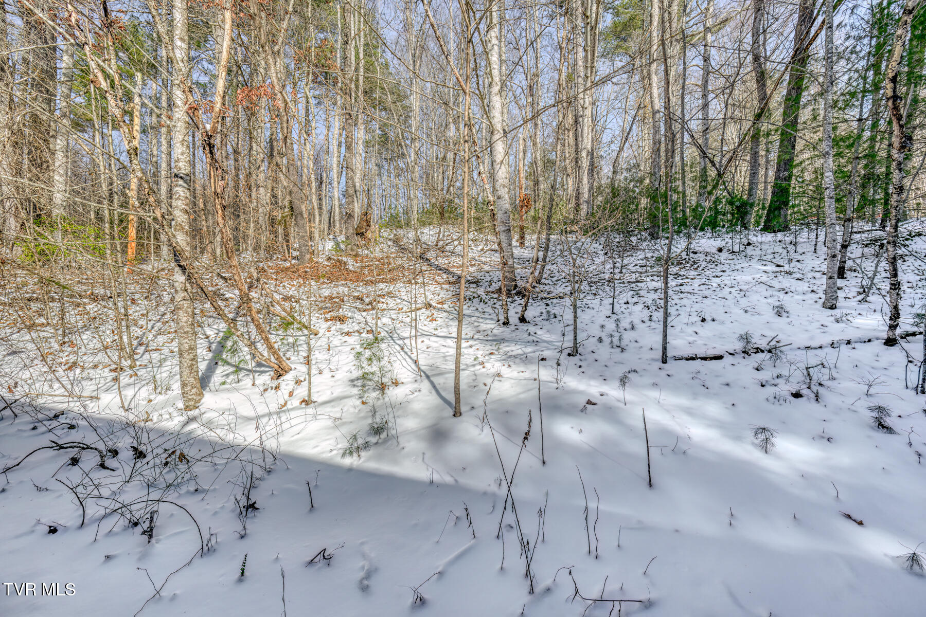 400 Blant Road, Mountain City, Tennessee image 39