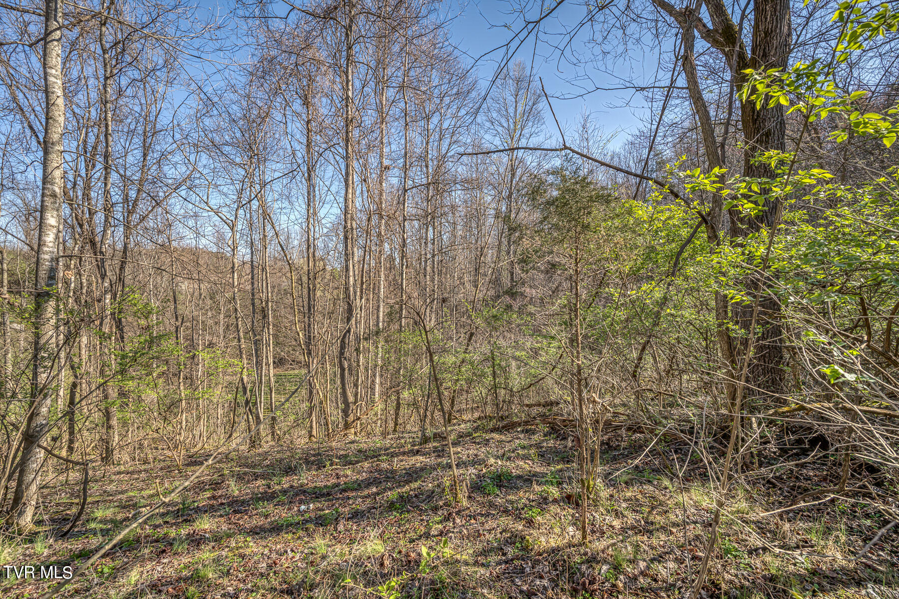 Tbd Cannon Hill Drive, Elizabethton, Tennessee image 5