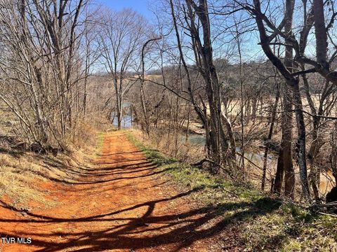Vacant Land For Sale - TBD LOT 2 River Village Ln<br/> Afton, TN 37616