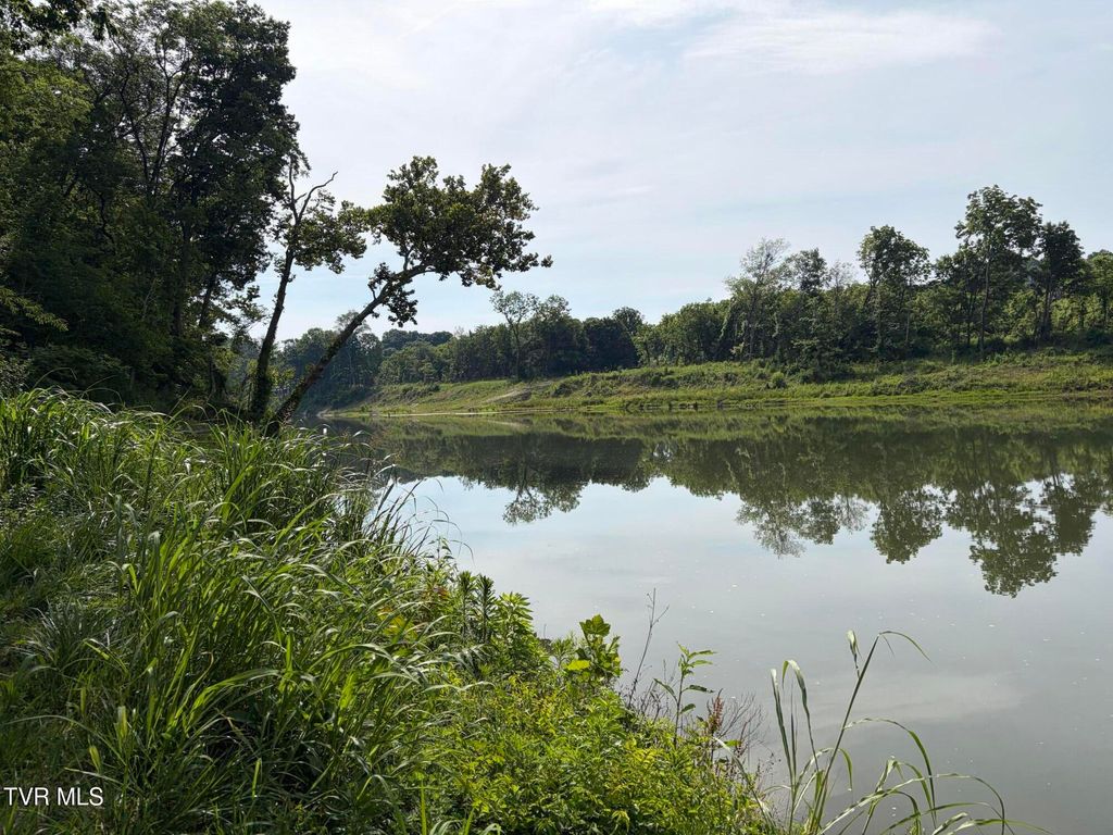 Photo of 2 River Village Ln, Afton, TN 37616 (MLS # 9990170)