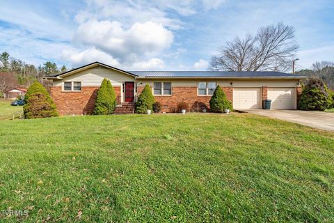 Photo of 4549 Pine Orchard Road, Butler, TN 37640 (MLS # 9988659)