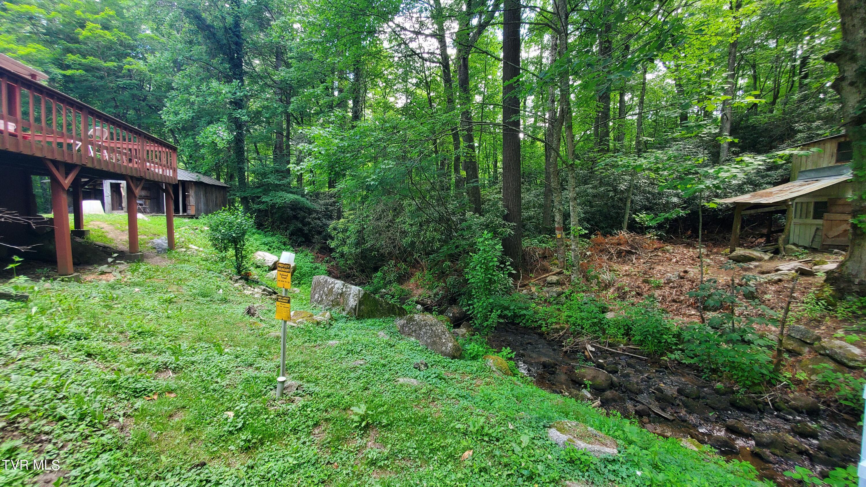 123 Tower Road, Roan Mountain, Tennessee image 37