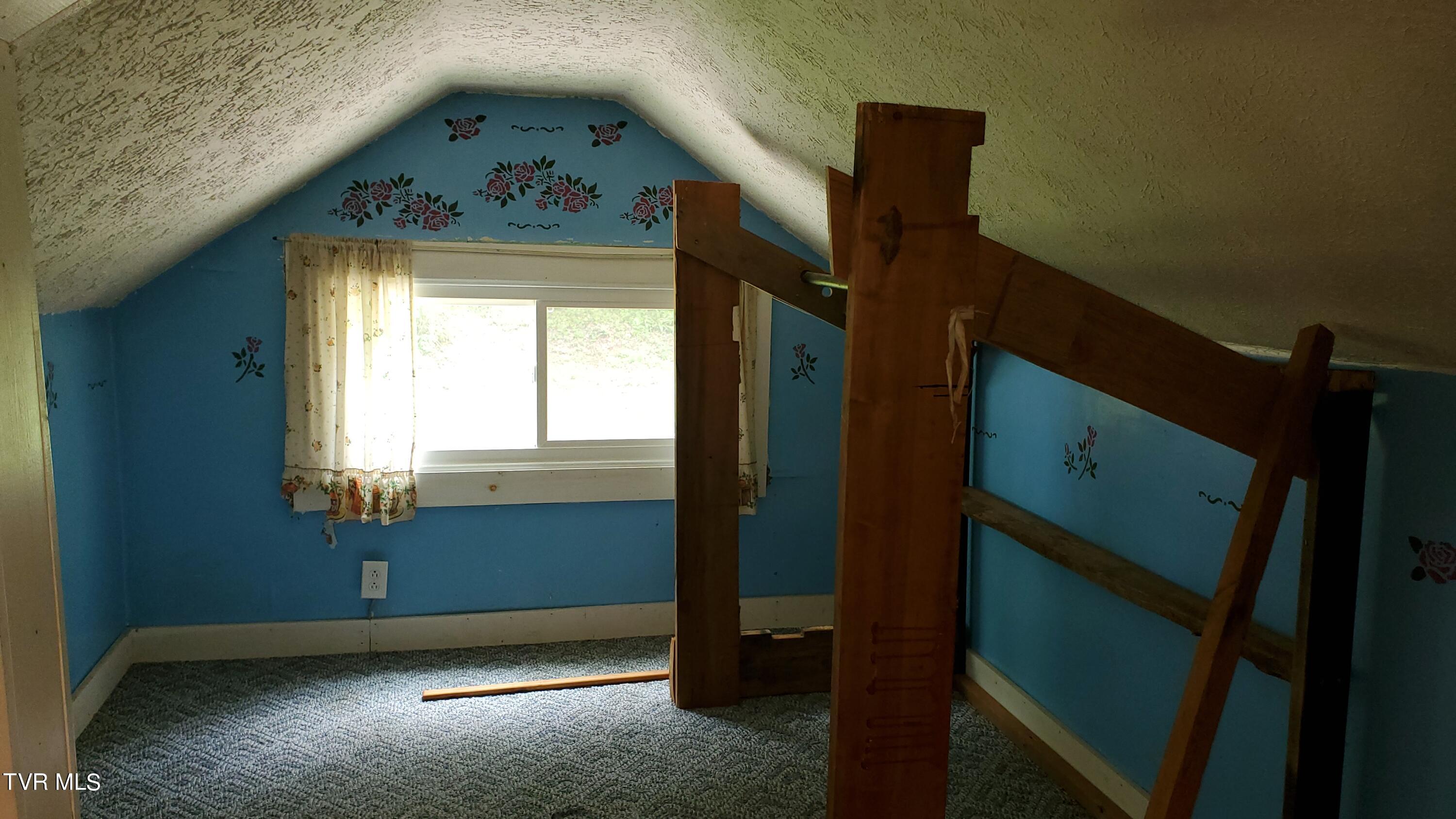 123 Tower Road, Roan Mountain, Tennessee image 25