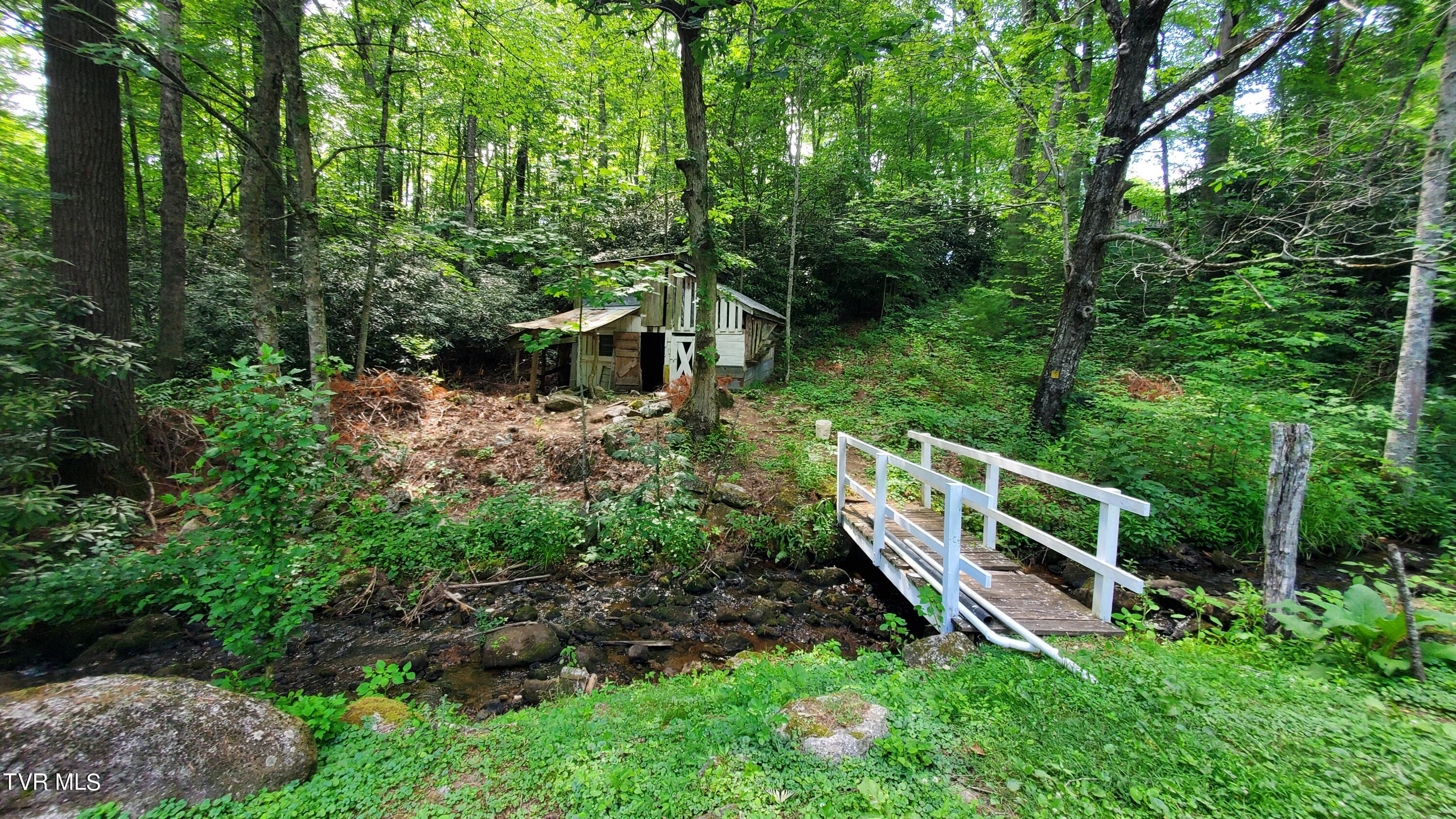 123 Tower Road, Roan Mountain, Tennessee image 2