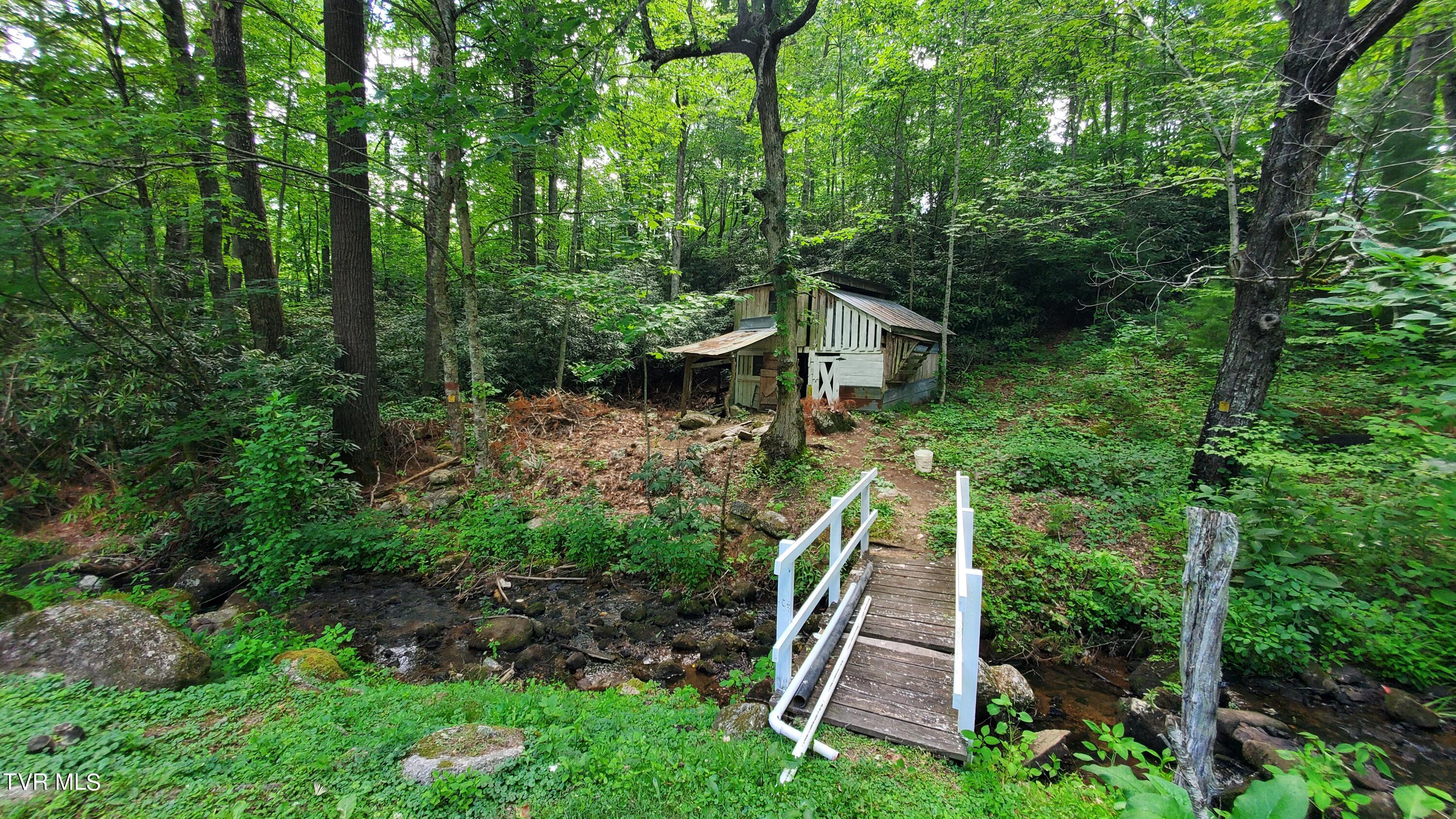 123 Tower Road, Roan Mountain, Tennessee image 5