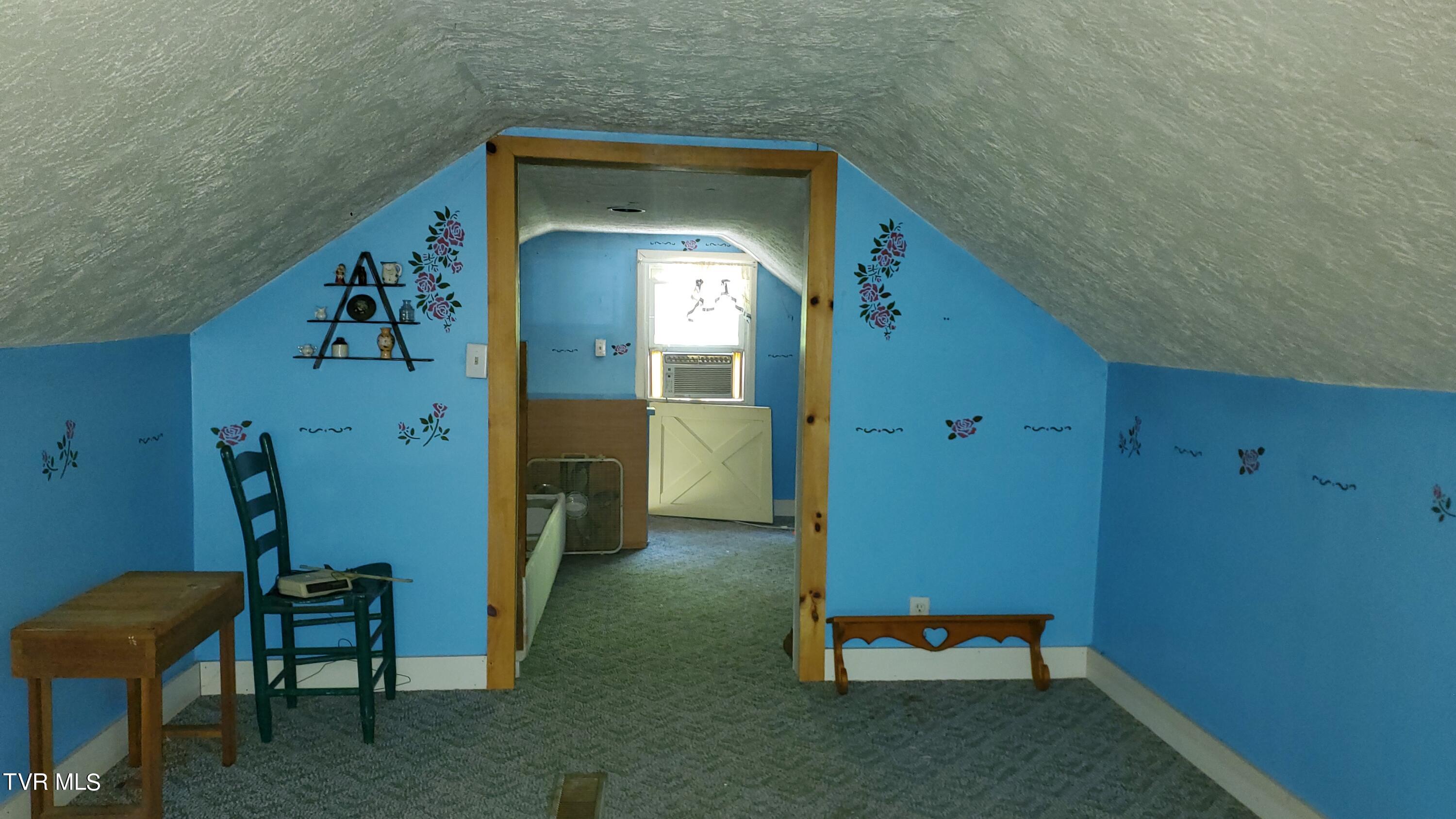 123 Tower Road, Roan Mountain, Tennessee image 21