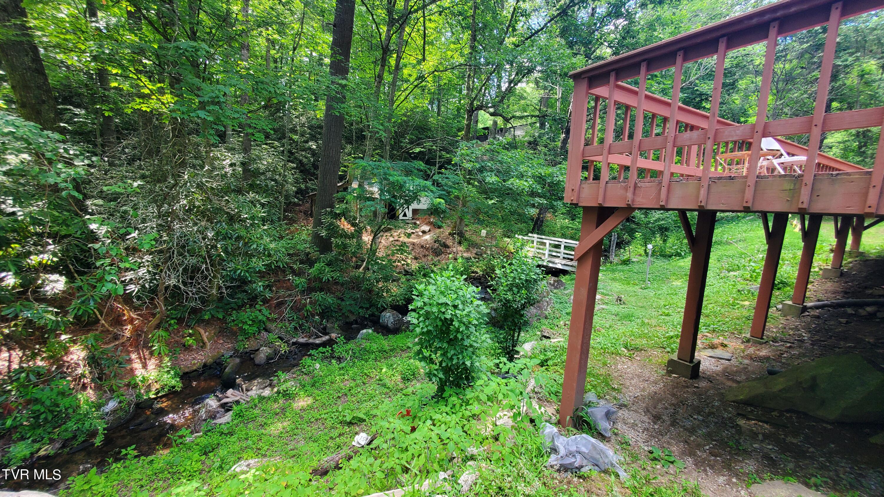123 Tower Road, Roan Mountain, Tennessee image 36