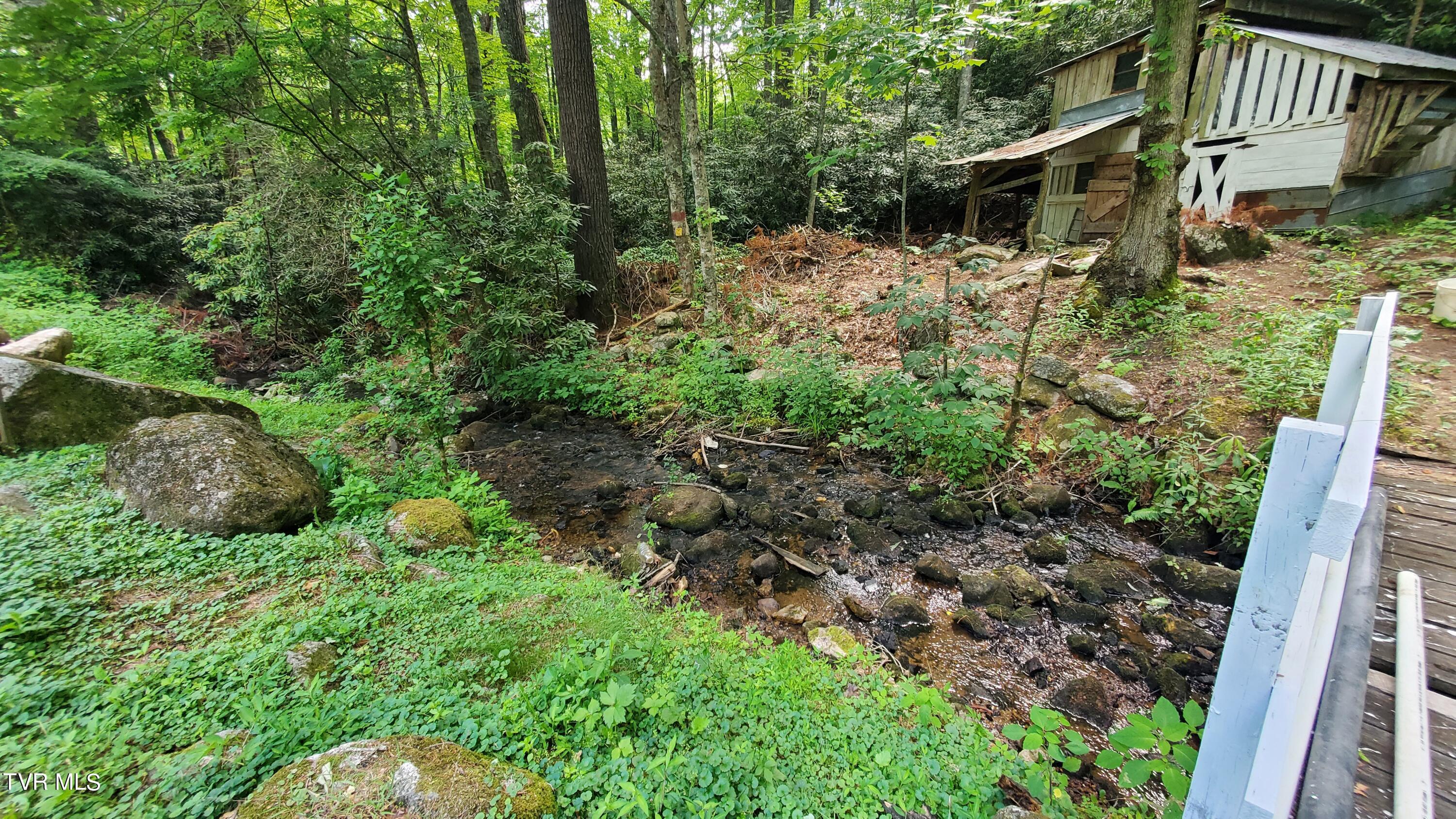 123 Tower Road, Roan Mountain, Tennessee image 3