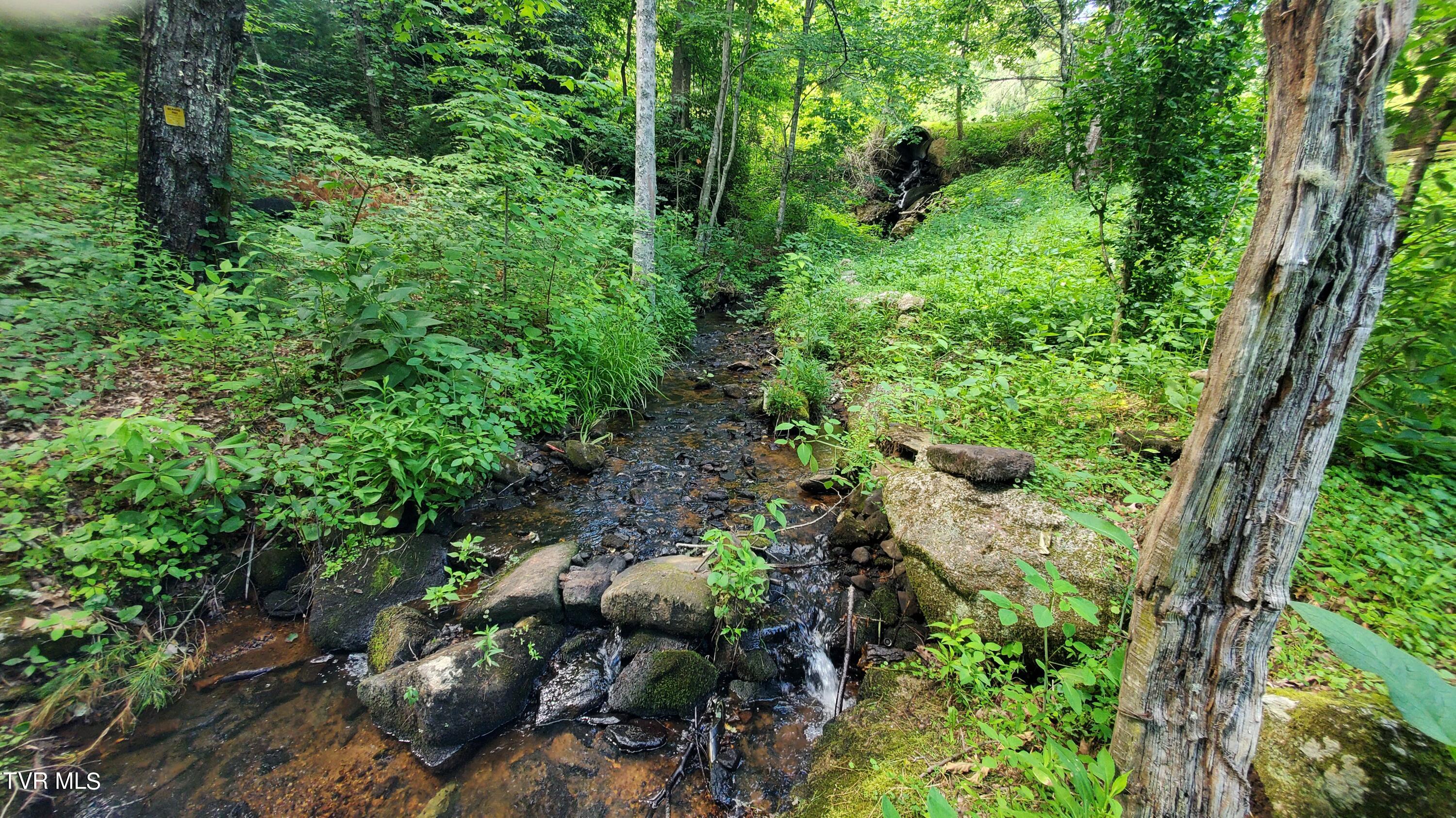 123 Tower Road, Roan Mountain, Tennessee image 4