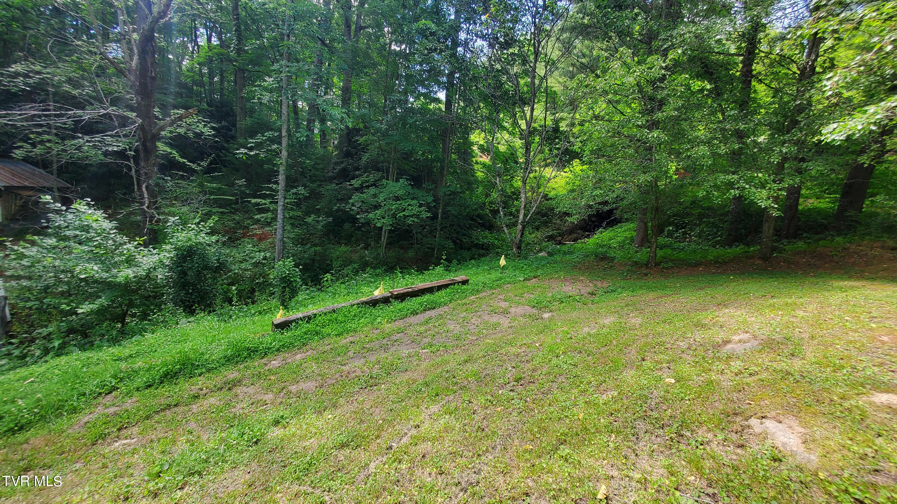 123 Tower Road, Roan Mountain, Tennessee image 38