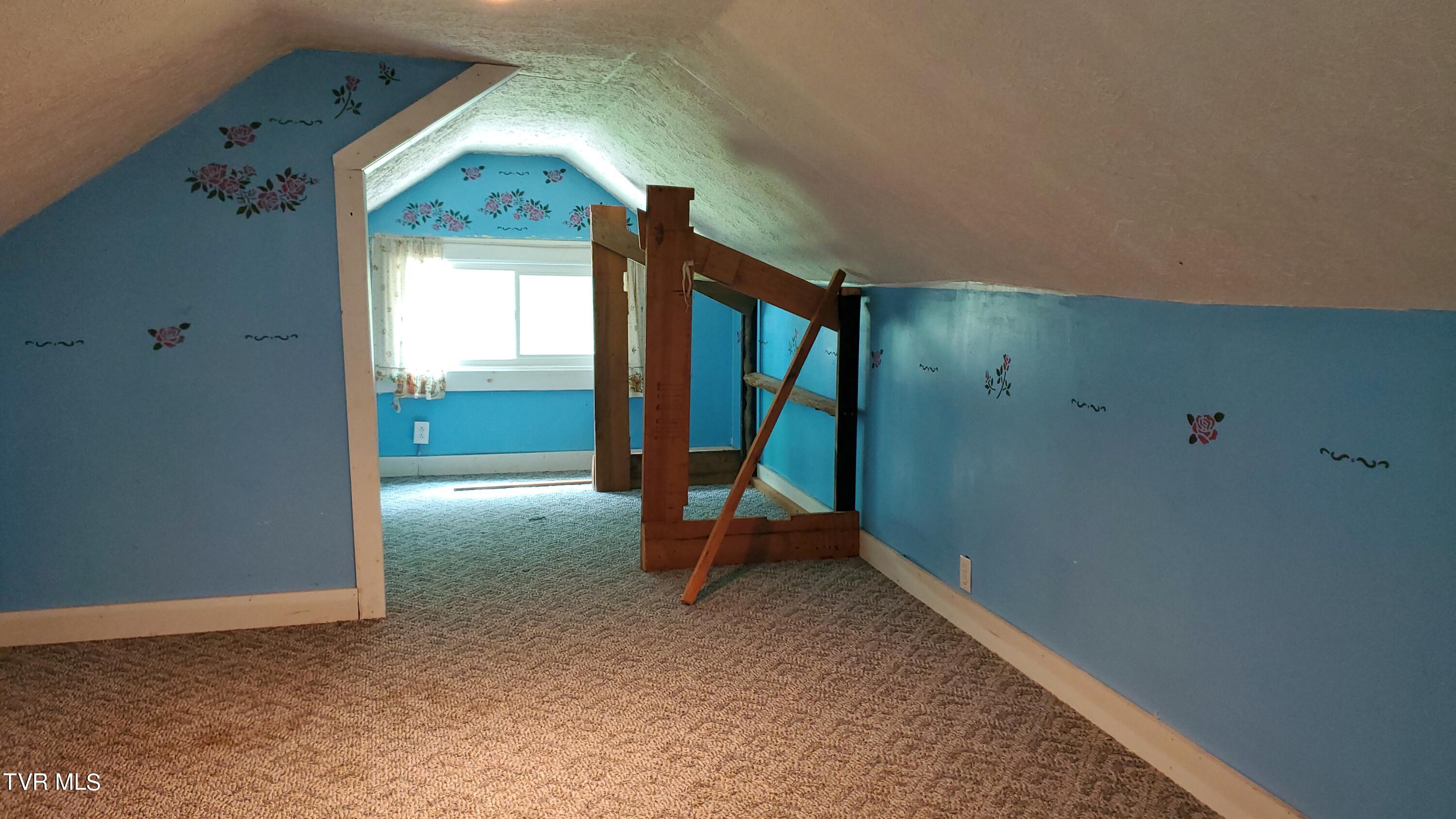 123 Tower Road, Roan Mountain, Tennessee image 24