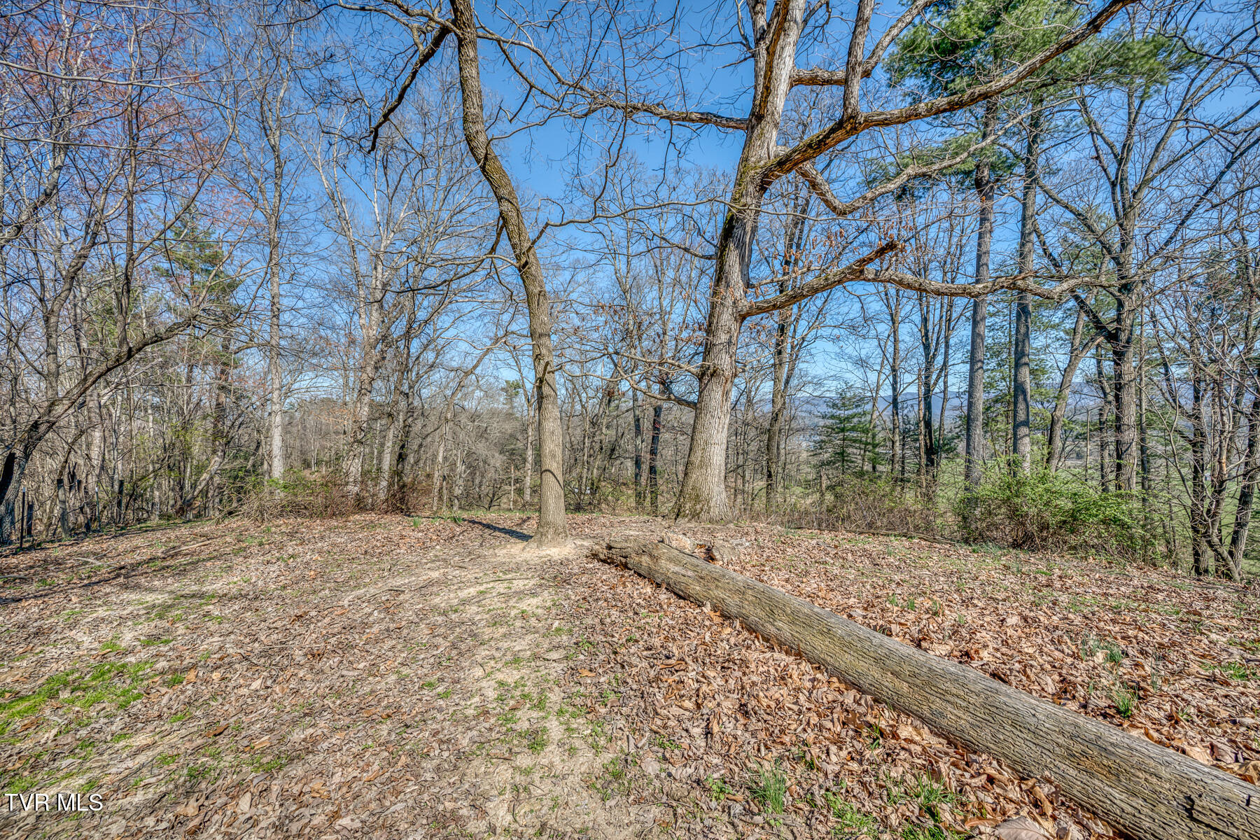 Tbd Highway 44 #LOT 7, Bristol, Tennessee image 14