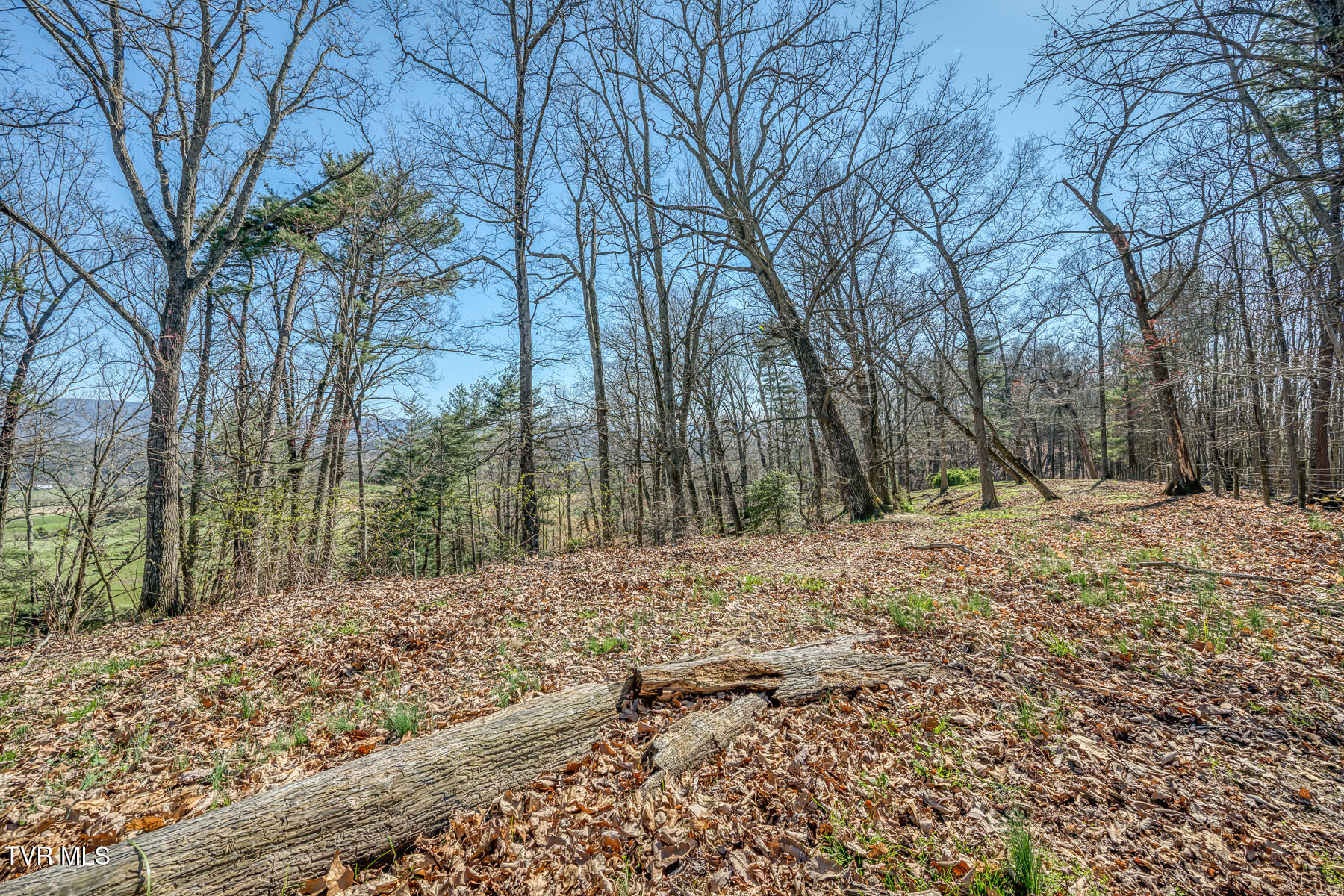 Tbd Highway 44 #LOT 7, Bristol, Tennessee image 12