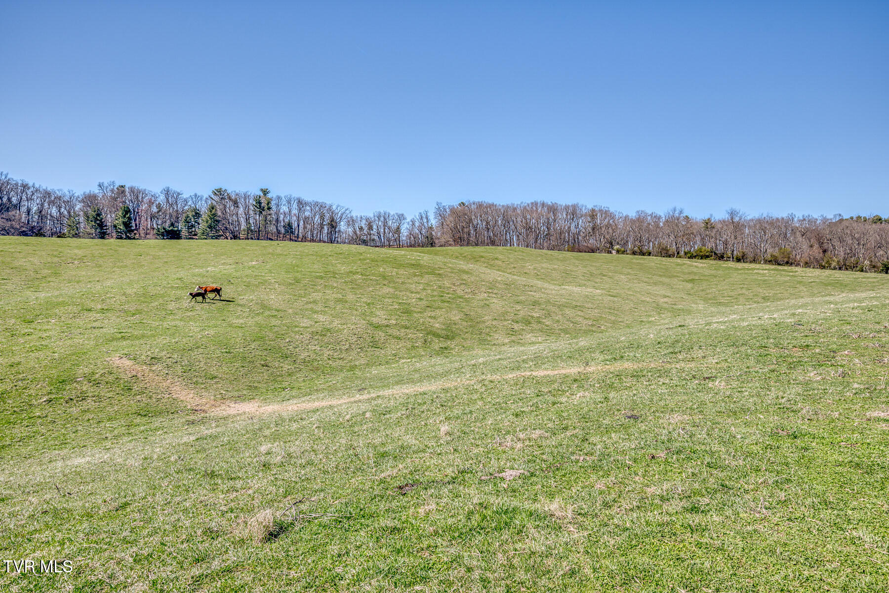 Tbd Highway 44 #LOT 7, Bristol, Tennessee image 4
