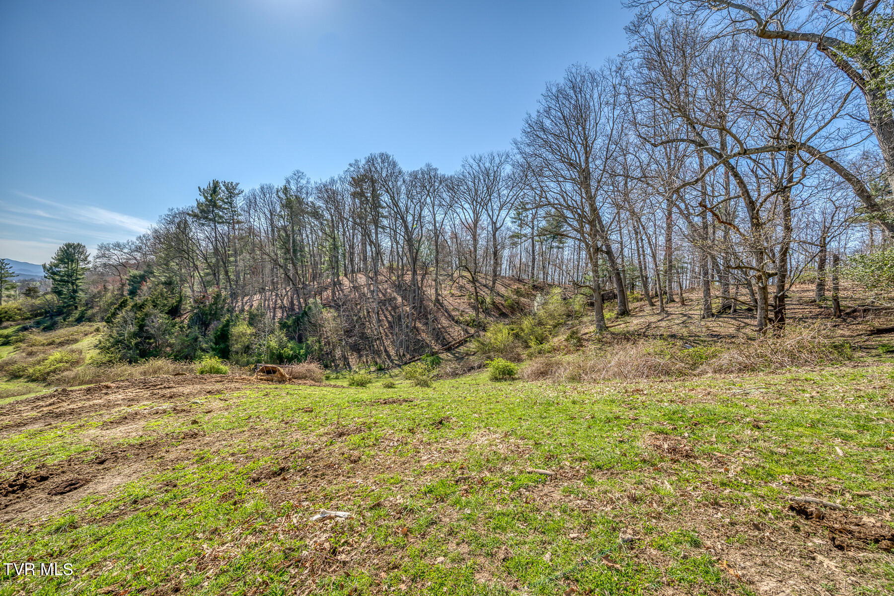 Tbd Highway 44 #LOT 7, Bristol, Tennessee image 11