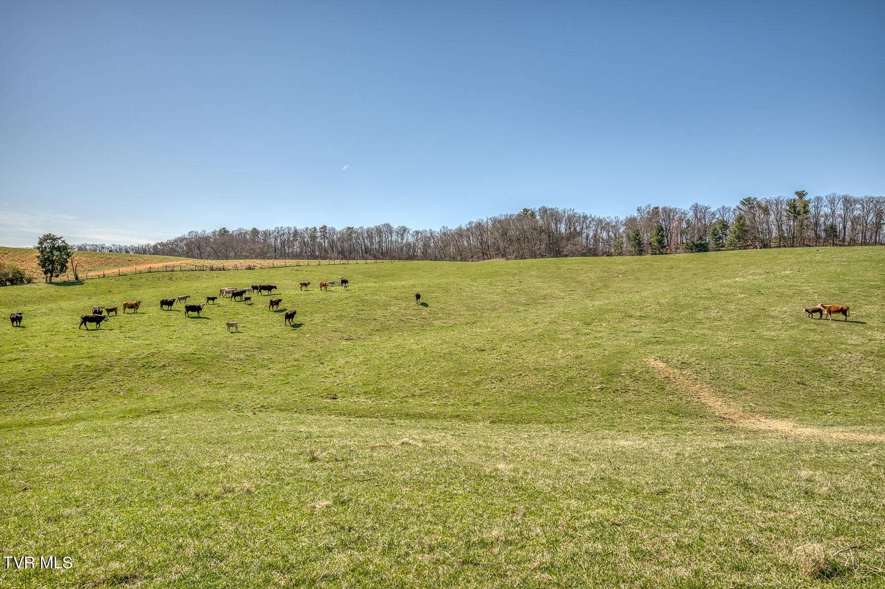 Tbd Highway 44 #LOT 7, Bristol, Tennessee image 3