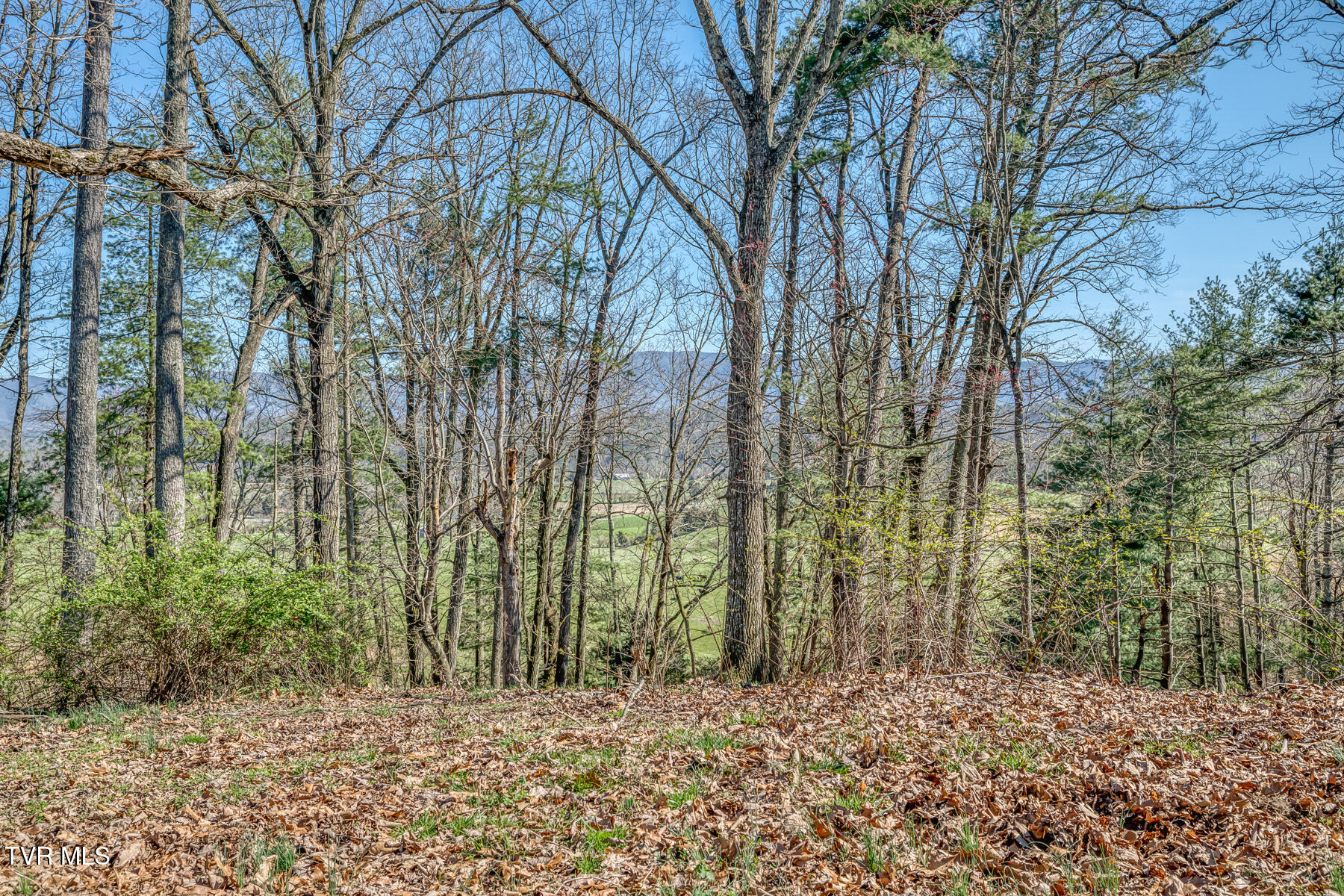Tbd Highway 44 #LOT 7, Bristol, Tennessee image 13