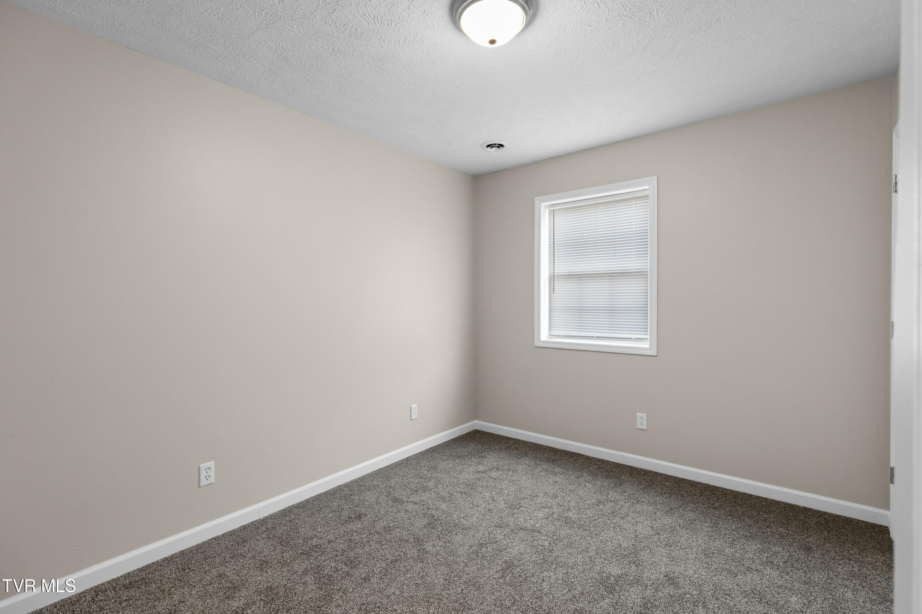 296 Fork Branch Road, Rogersville, Tennessee image 22