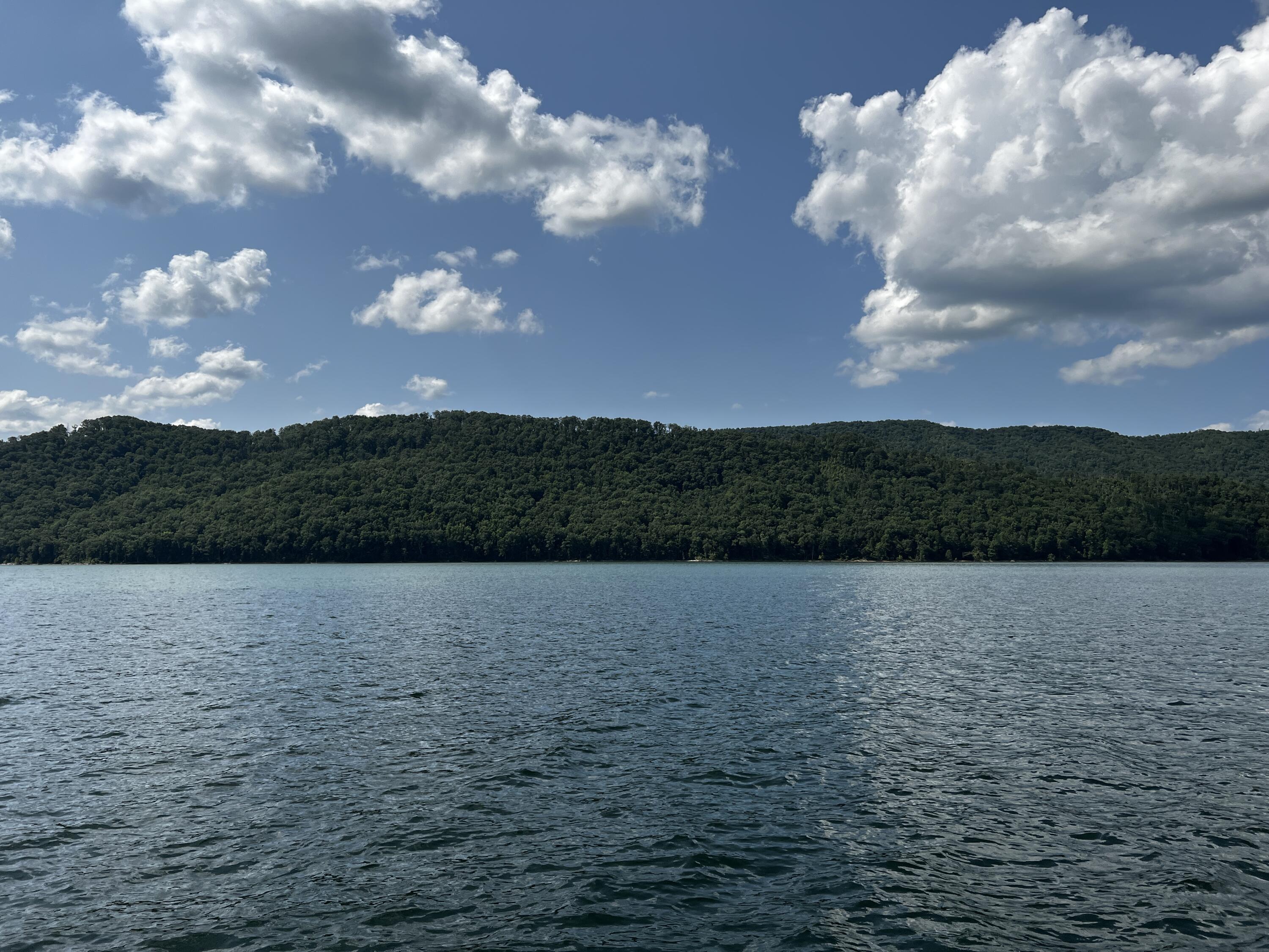 Lot 8 Deer Ridge Court, Butler, Tennessee image 12