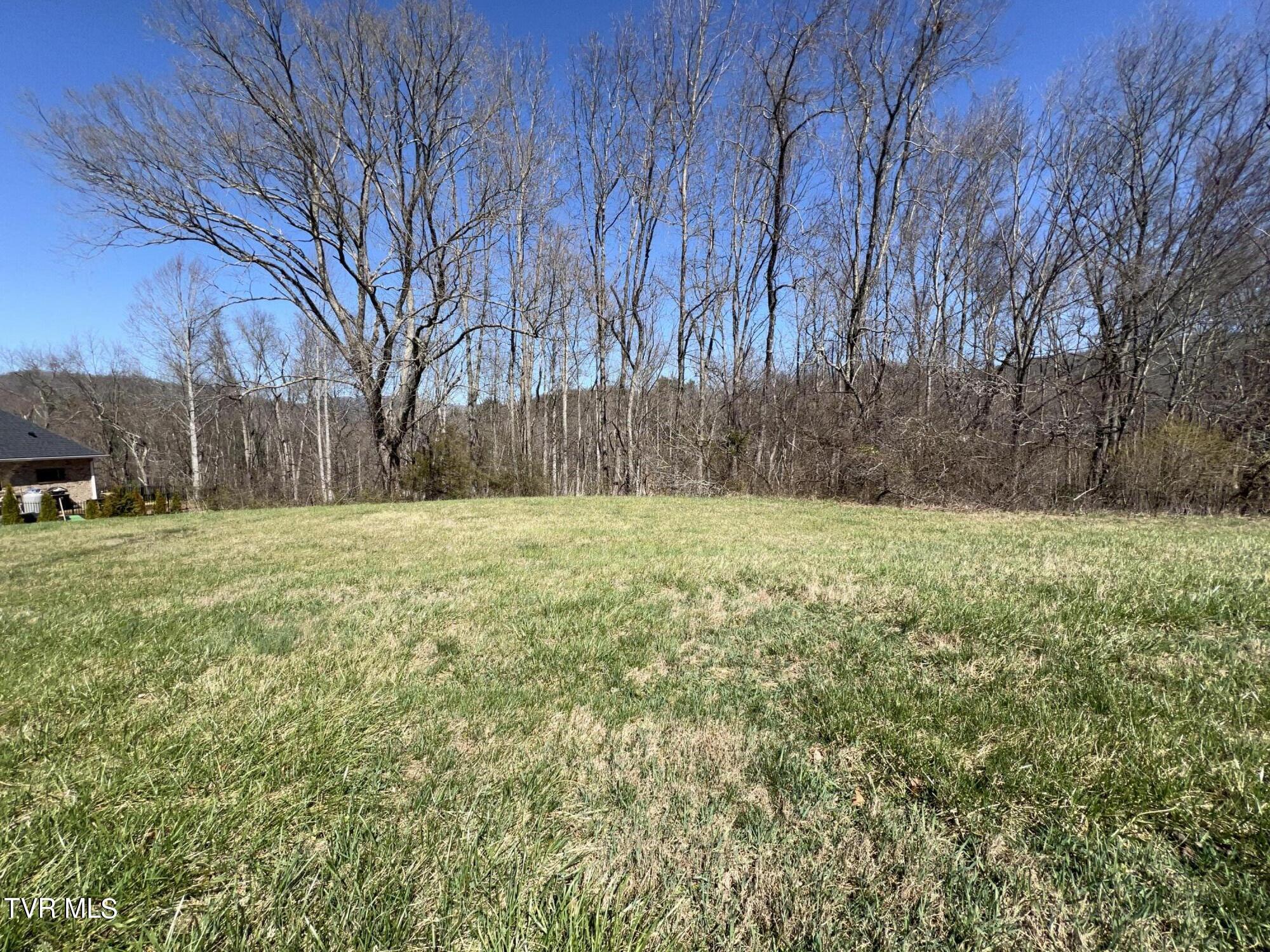 Lot 8 Deer Ridge Court, Butler, Tennessee image 6