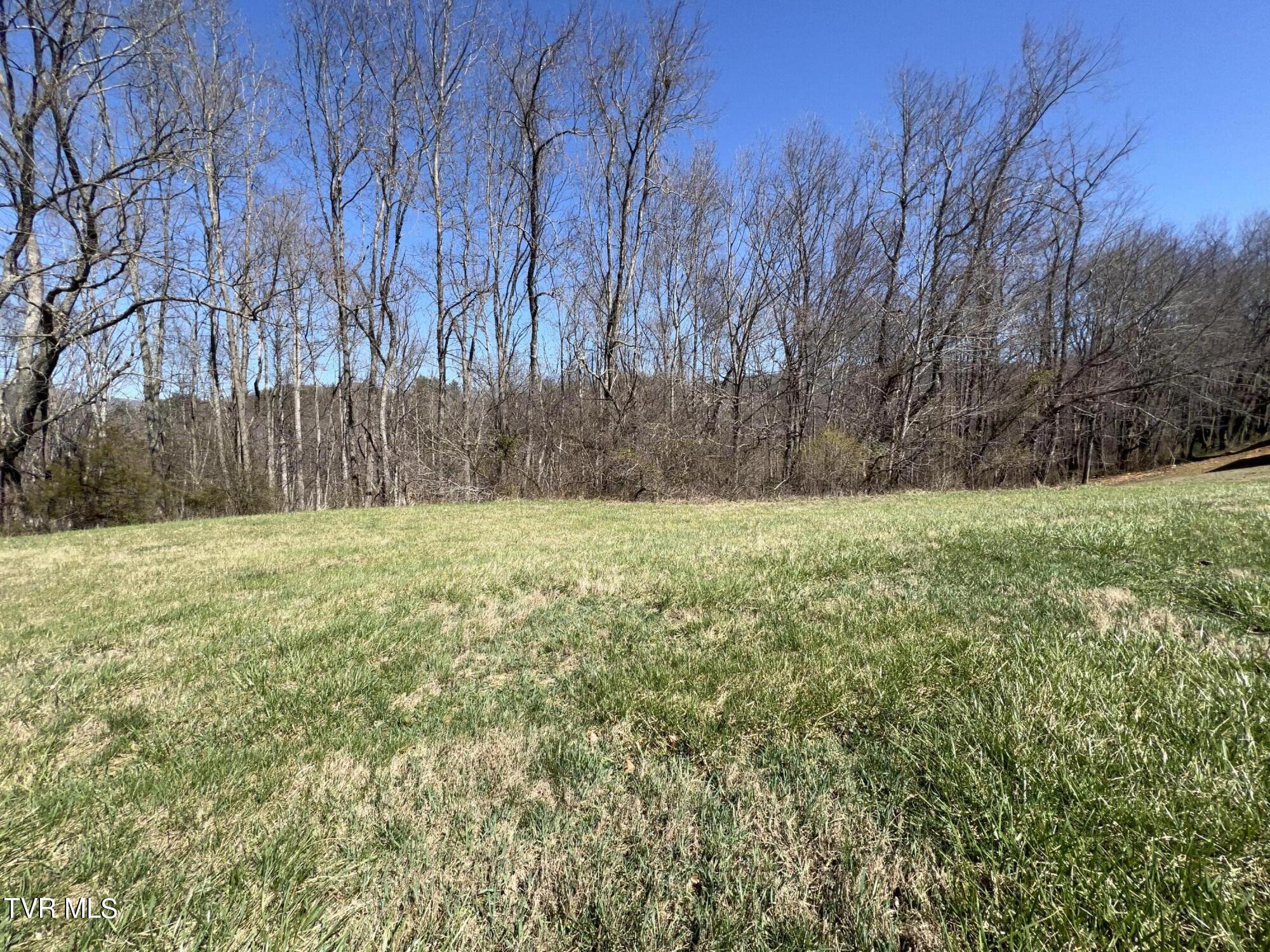 Lot 8 Deer Ridge Court, Butler, Tennessee image 5