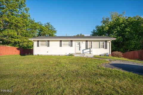 Photo of 203 Hemlock Road, Bristol, TN 37620 (MLS # 9994824)